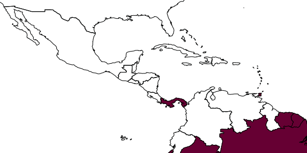 map of Anisepyris penai     Evans, 1966